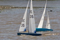DSC04449 © Peter Taylor 2012