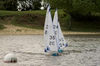 DSC00184 © Peter Taylor 2012