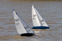 DSC04389 © Peter Taylor 2012