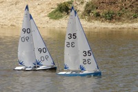 DSC04327 © Peter Taylor 2012