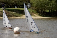 DSC00217 © Peter Taylor 2012
