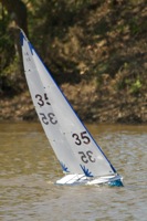 DSC04313 © Peter Taylor 2012