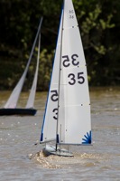 DSC04489 © Peter Taylor 2012
