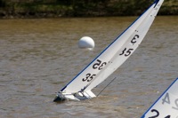 DSC04510 © Peter Taylor 2012