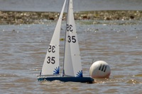 DSC04450 © Peter Taylor 2012