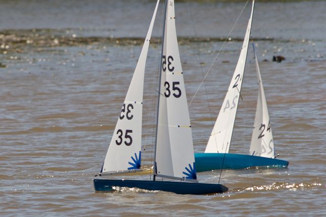 DSC04449 © Peter Taylor 2012