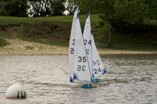DSC00184 © Peter Taylor 2012