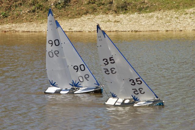 DSC04328 © Peter Taylor 2012