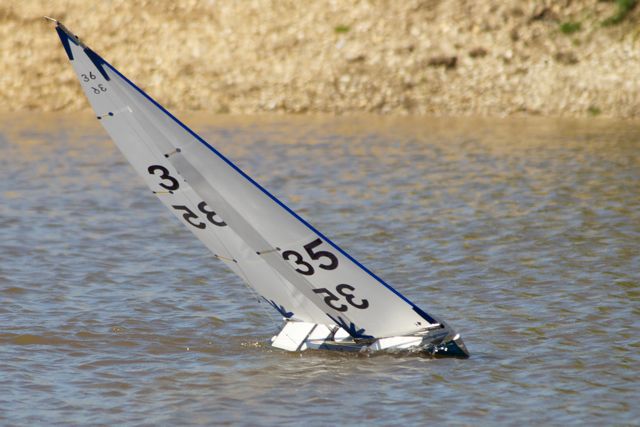 DSC04316 © Peter Taylor 2012