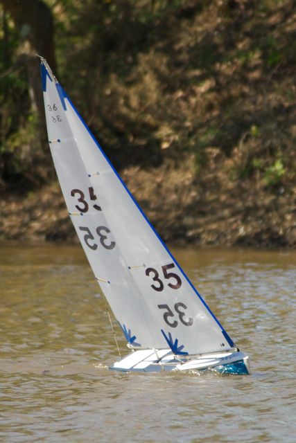 DSC04313 © Peter Taylor 2012