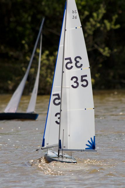 DSC04489 © Peter Taylor 2012