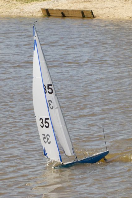 DSC00118 © Peter Taylor 2012