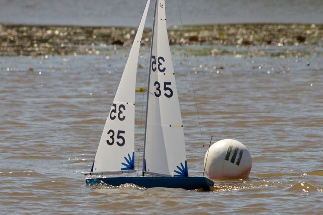 DSC04450 © Peter Taylor 2012