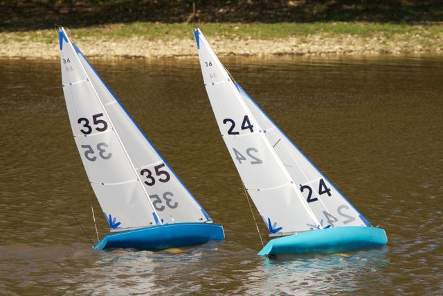 DSC04292 © Peter Taylor 2012