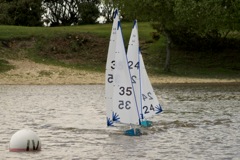 DSC00184 © Peter Taylor 2012