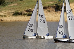 DSC04474 © Peter Taylor 2012