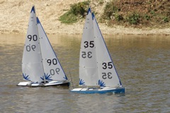 DSC04327 © Peter Taylor 2012
