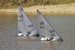 DSC04328 © Peter Taylor 2012