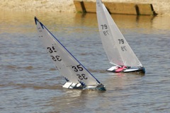 DSC04287 © Peter Taylor 2012
