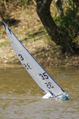 DSC04312 © Peter Taylor 2012