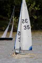 DSC04489 © Peter Taylor 2012