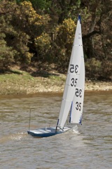 DSC04600 © Peter Taylor 2012