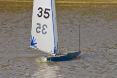 DSC04460 © Peter Taylor 2012