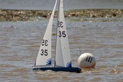 DSC04450 © Peter Taylor 2012