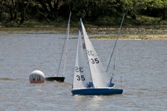 DSC00134 © Peter Taylor 2012