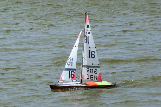 DSC09560 © Peter Taylor 2009
