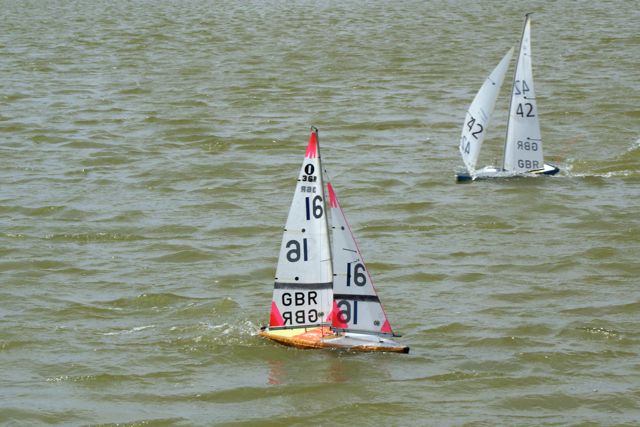 DSC09595 © Peter Taylor 2009