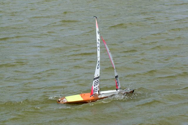 DSC09601 © Peter Taylor 2009