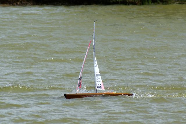 DSC09757 © Peter Taylor 2009