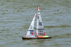 DSC09560 © Peter Taylor 2009