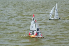 DSC09595 © Peter Taylor 2009