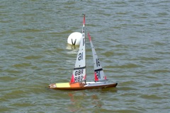 DSC09730 © Peter Taylor 2009