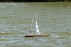 DSC09757 © Peter Taylor 2009