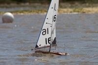 DSC04581 © Peter Taylor 2012