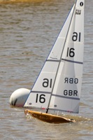 DSC04387 © Peter Taylor 2012