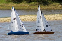 DSC04280 © Peter Taylor 2012