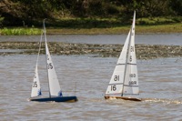 DSC04400 © Peter Taylor 2012