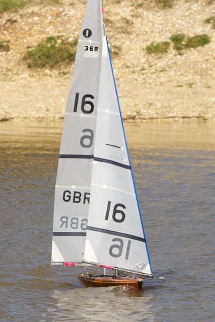 DSC04375 © Peter Taylor 2012