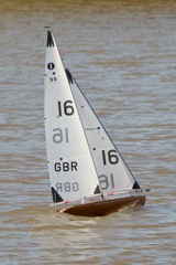 DSC04249 © Peter Taylor 2012
