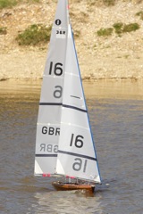 DSC04375 © Peter Taylor 2012