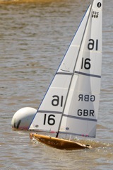 DSC04387 © Peter Taylor 2012