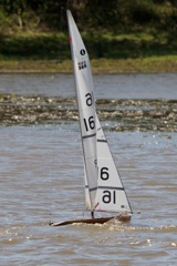 DSC04401 © Peter Taylor 2012