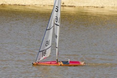 DSC04377 © Peter Taylor 2012