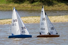 DSC04280 © Peter Taylor 2012