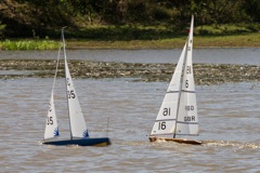 DSC04400 © Peter Taylor 2012
