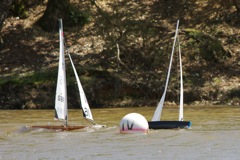 DSC04570 © Peter Taylor 2012